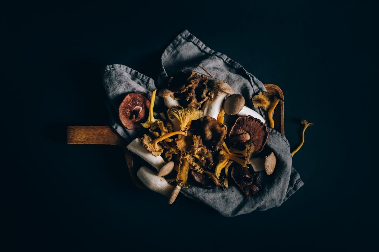 Assorted Mushrooms on Fabric